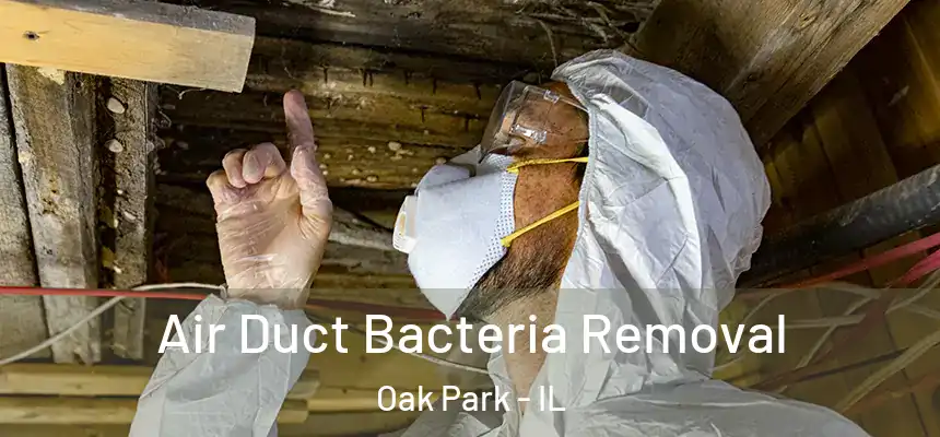 Air Duct Bacteria Removal Oak Park - IL