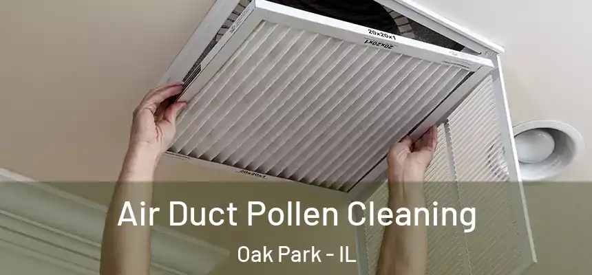 Air Duct Pollen Cleaning Oak Park - IL