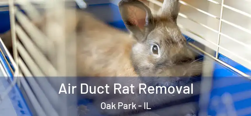  Air Duct Rat Removal Oak Park - IL
