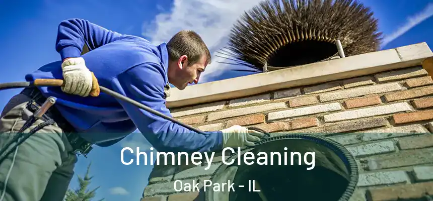 Chimney Cleaning Oak Park - IL