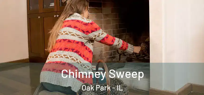 Chimney Sweep Oak Park - IL