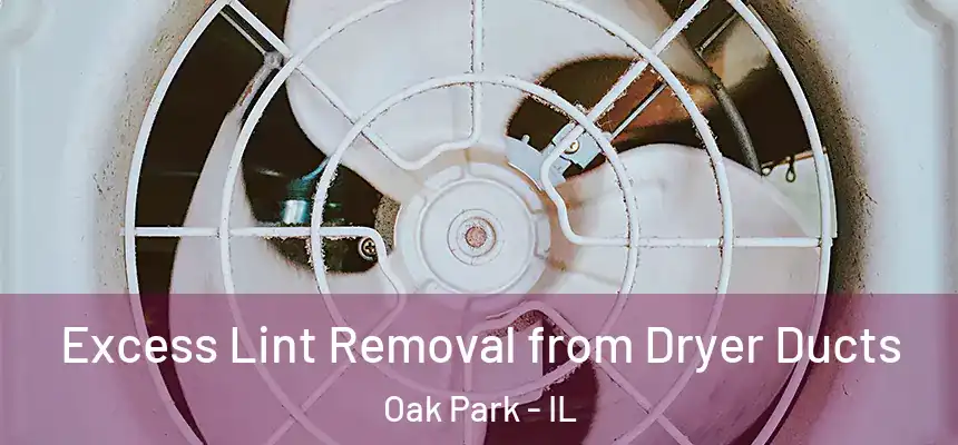 Excess Lint Removal from Dryer Ducts Oak Park - IL