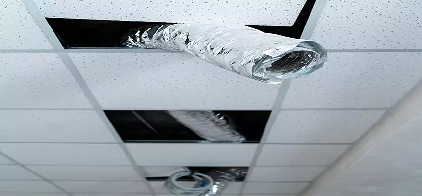 Our Air Duct Pet Hair Removal Services in Oak Park, IL