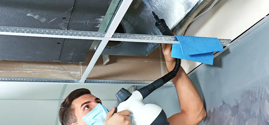 Our Air Duct Rodent Removal Services in Oak Park, IL