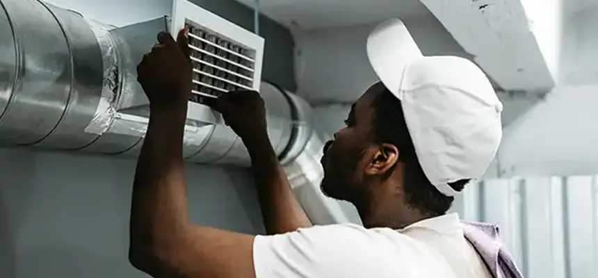 Our Licensed And Insured Cleaners in Oak Park, IL