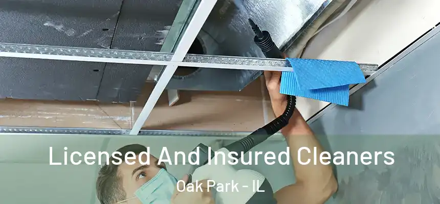 Licensed And Insured Cleaners Oak Park - IL