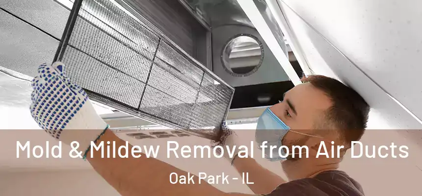  Mold & Mildew Removal from Air Ducts Oak Park - IL