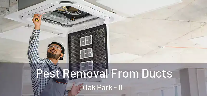 Pest Removal From Ducts Oak Park - IL