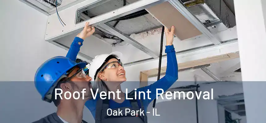 Roof Vent Lint Removal Oak Park - IL