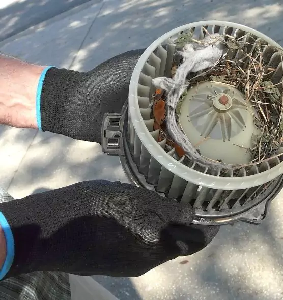 About Air Duct Mice Removal in Oak Park, IL