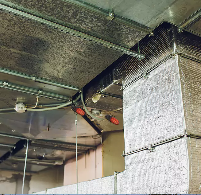 Why Homeowners & Businesses Trust Us in Oak Park, IL?