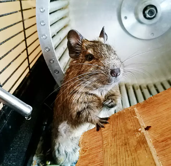 Why Homeowners & Businesses Trust Us Oak Park, IL