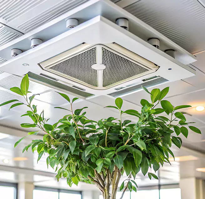 Why Homeowners & Businesses Trust Us in Oak Park, IL?